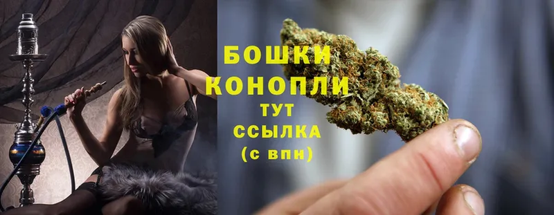 дарк нет телеграм  Александровск-Сахалинский  МАРИХУАНА SATIVA & INDICA 